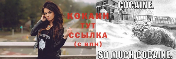 мдпв Каменск-Шахтинский