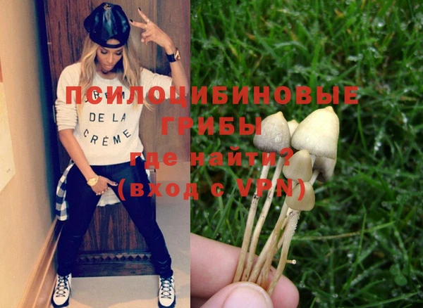 гашик Карпинск