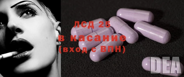 гашик Карпинск