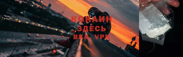 прущие грибы Касимов