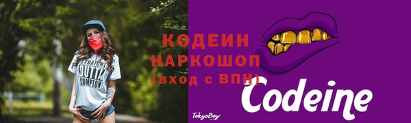 стаф Каменногорск