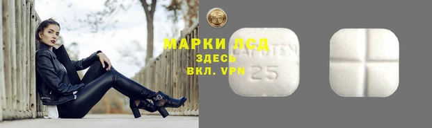 сатива Карталы