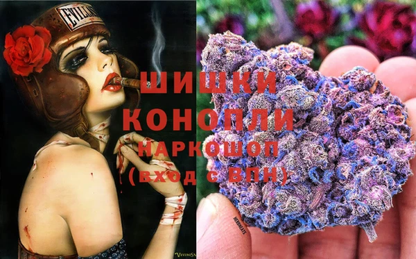 сатива Карталы