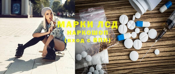 прущие грибы Касимов