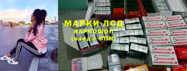 прущие грибы Касимов