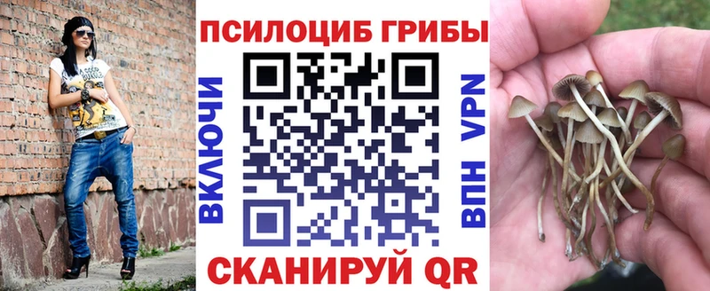 Псилоцибиновые грибы Magic Shrooms  Купить где  Любань 
